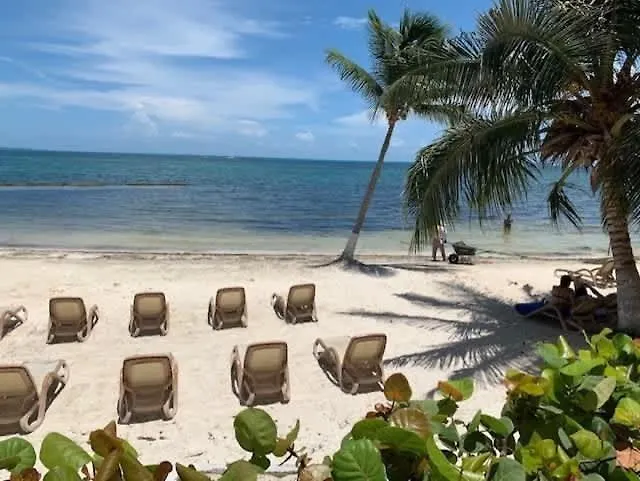 Апартаменты Amazing Steps From The Caribbean Sea, Beach Front Канкун Мексика